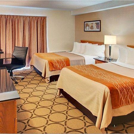 סידני Comfort Inn מראה חיצוני תמונה