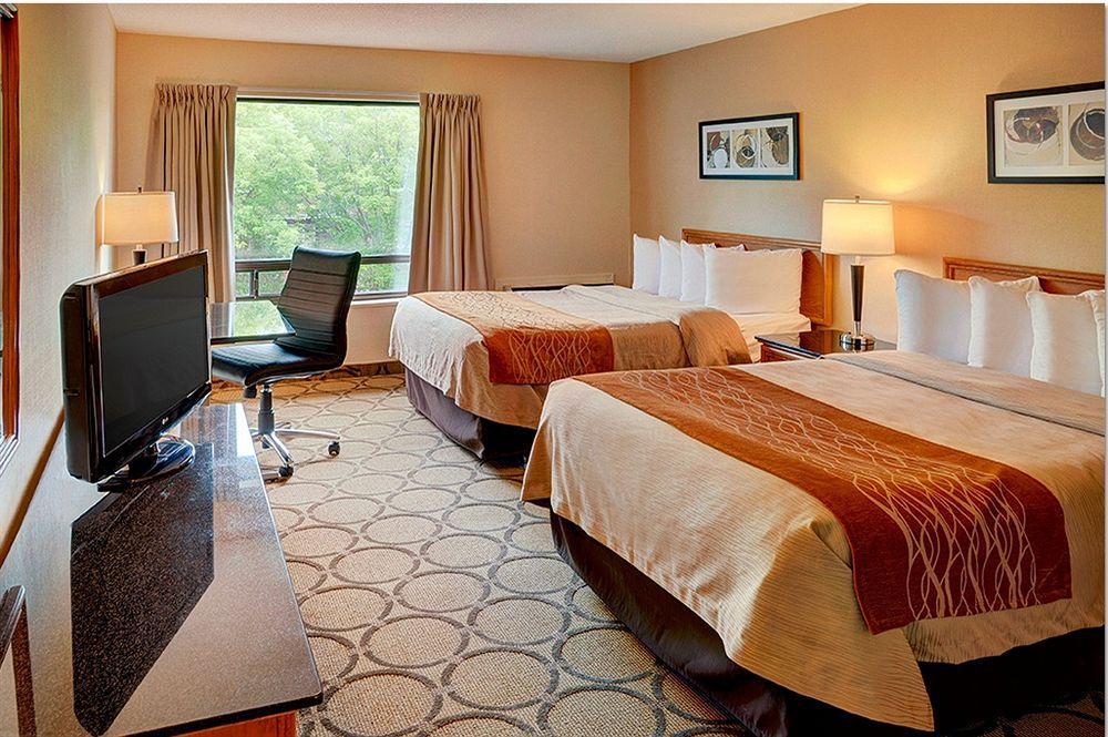 סידני Comfort Inn מראה חיצוני תמונה