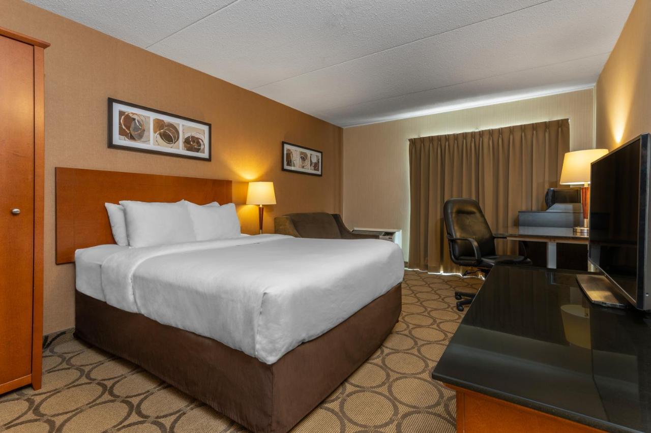 סידני Comfort Inn מראה חיצוני תמונה