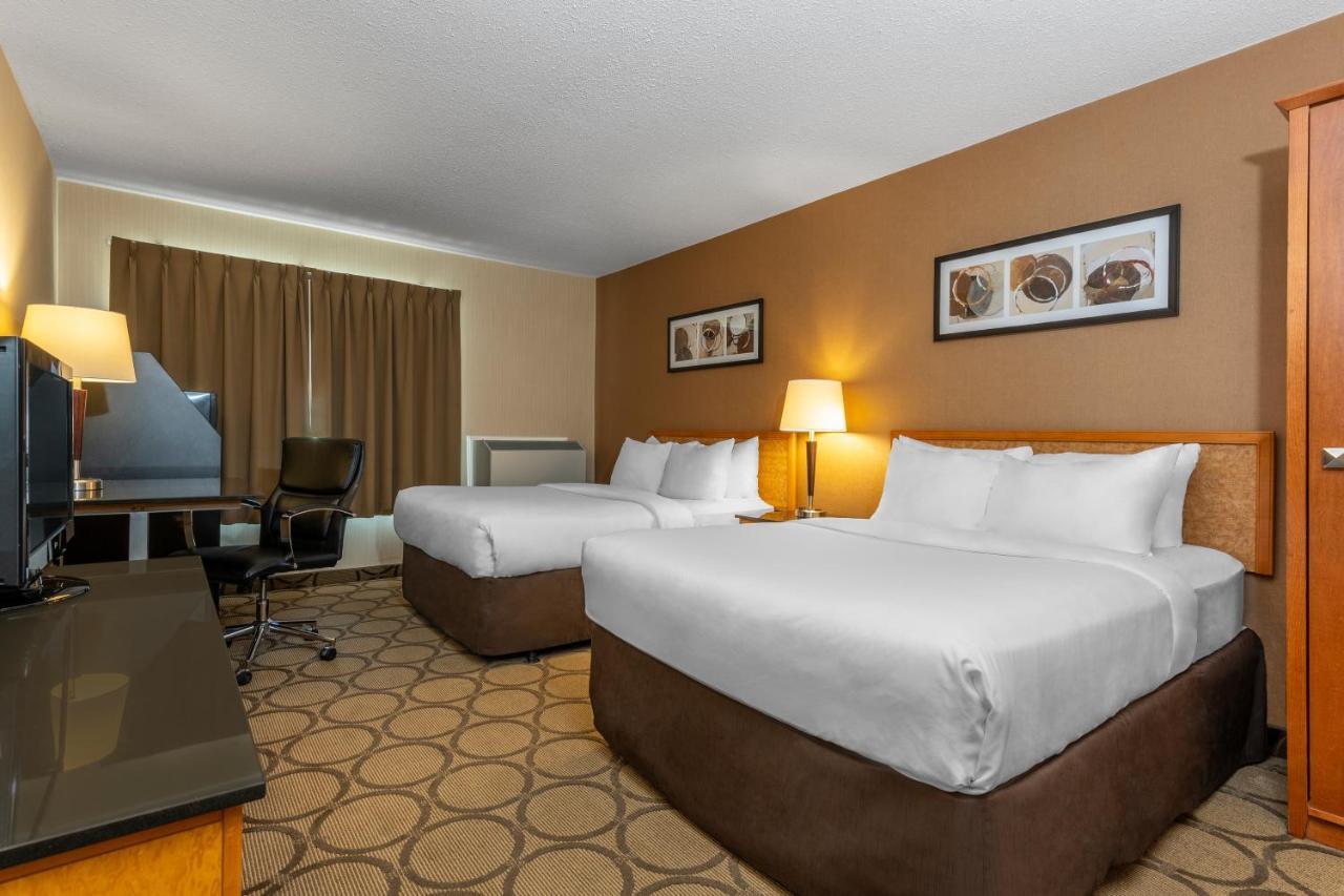 סידני Comfort Inn מראה חיצוני תמונה