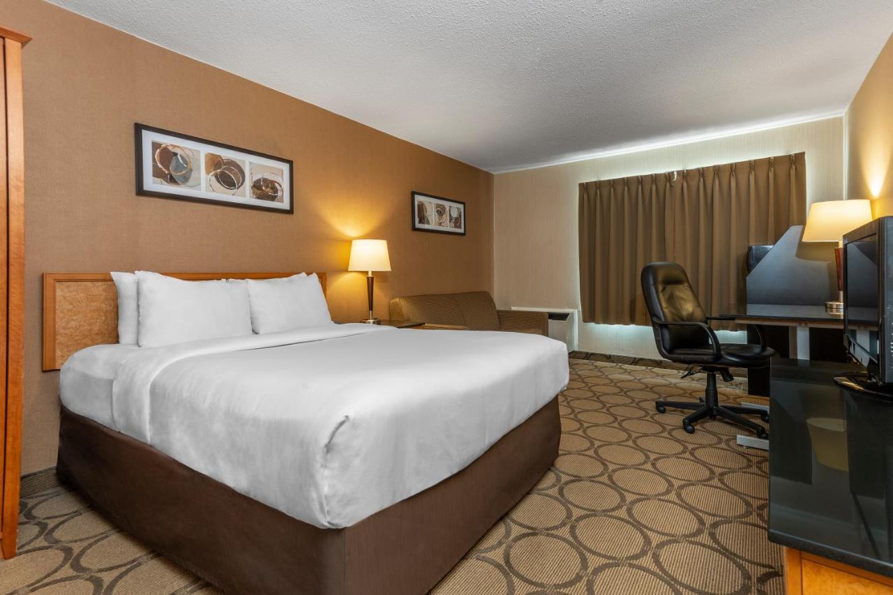 סידני Comfort Inn מראה חיצוני תמונה