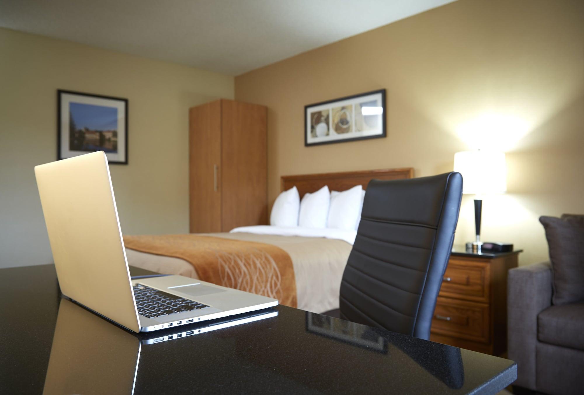 סידני Comfort Inn מראה חיצוני תמונה