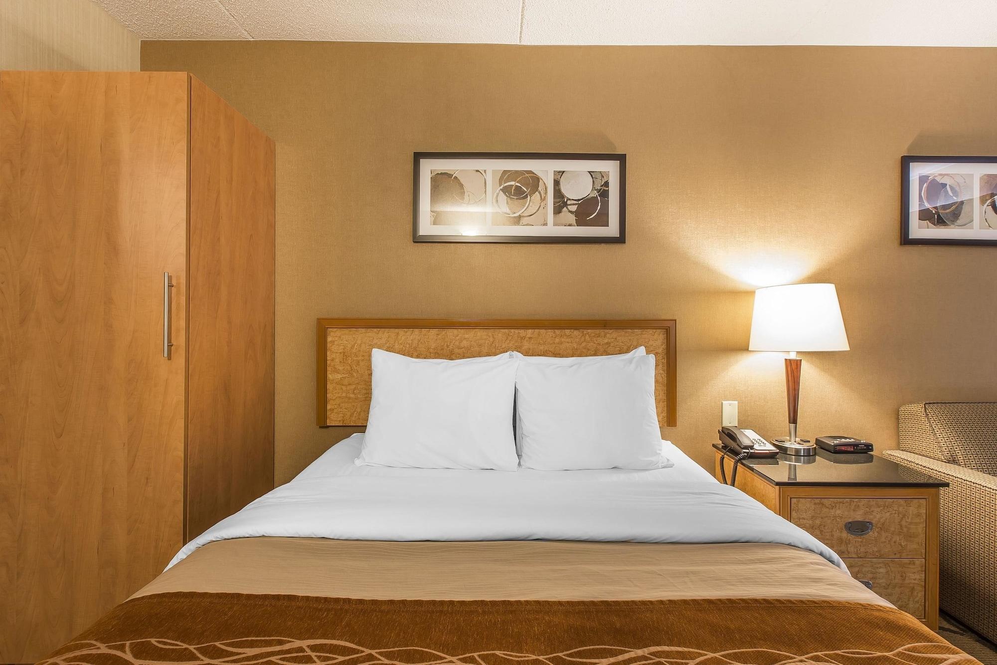 סידני Comfort Inn מראה חיצוני תמונה