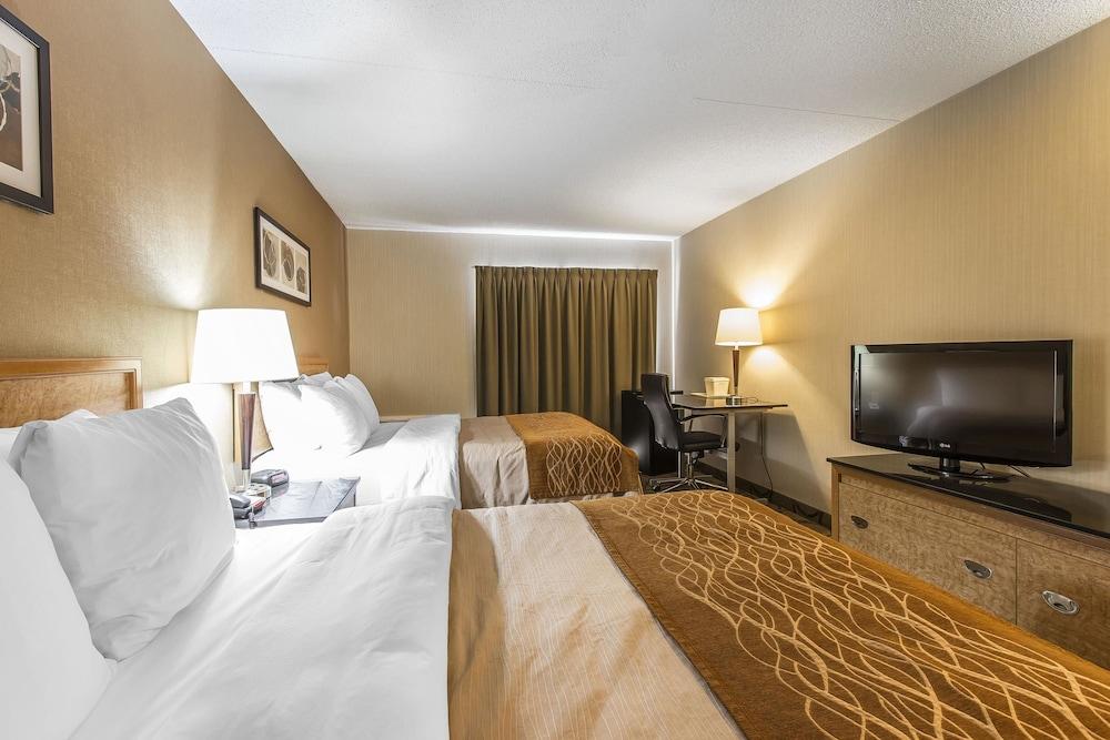 סידני Comfort Inn מראה חיצוני תמונה