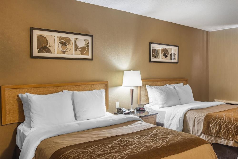 סידני Comfort Inn מראה חיצוני תמונה