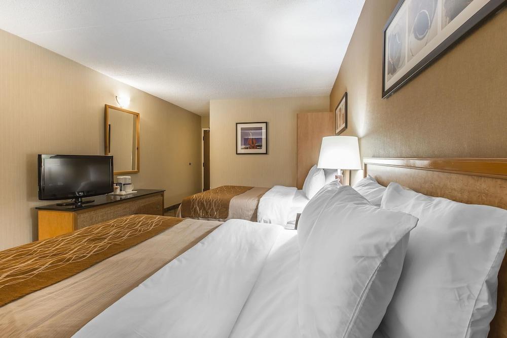 סידני Comfort Inn מראה חיצוני תמונה