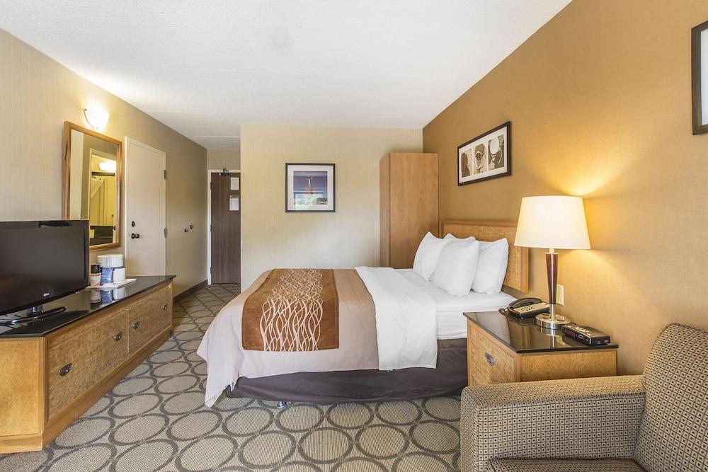 סידני Comfort Inn מראה חיצוני תמונה