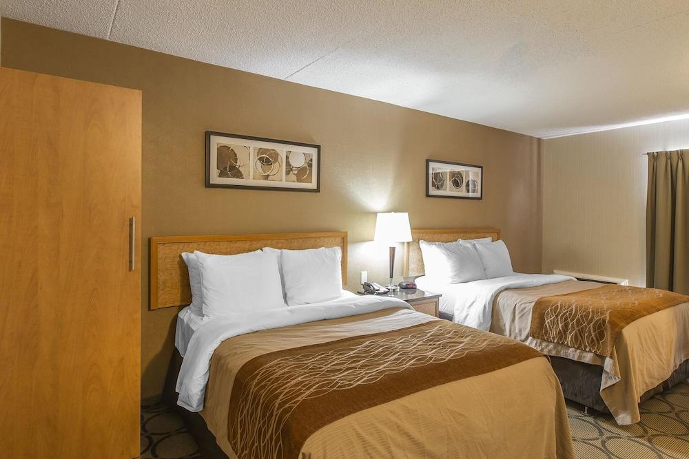 סידני Comfort Inn מראה חיצוני תמונה