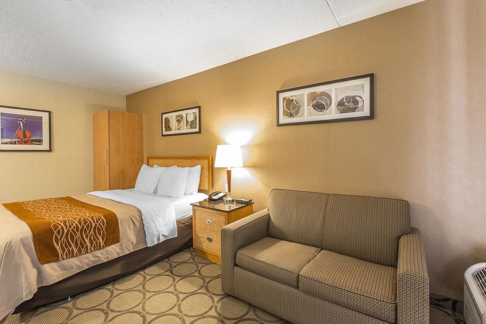 סידני Comfort Inn מראה חיצוני תמונה