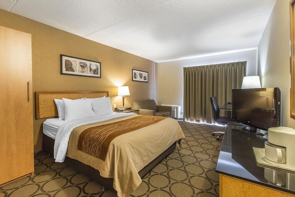 סידני Comfort Inn מראה חיצוני תמונה