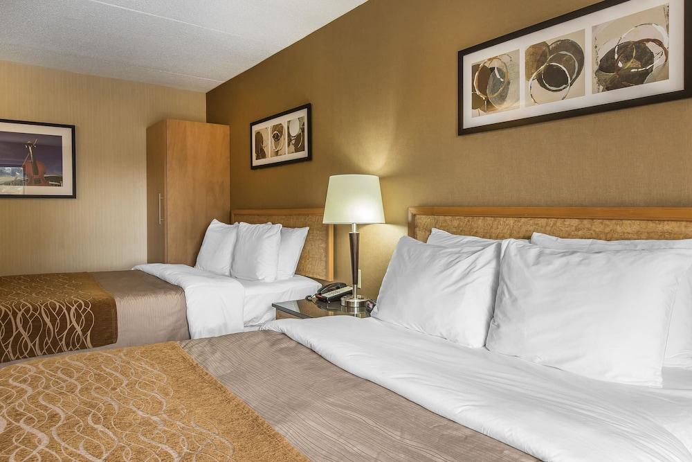 סידני Comfort Inn מראה חיצוני תמונה