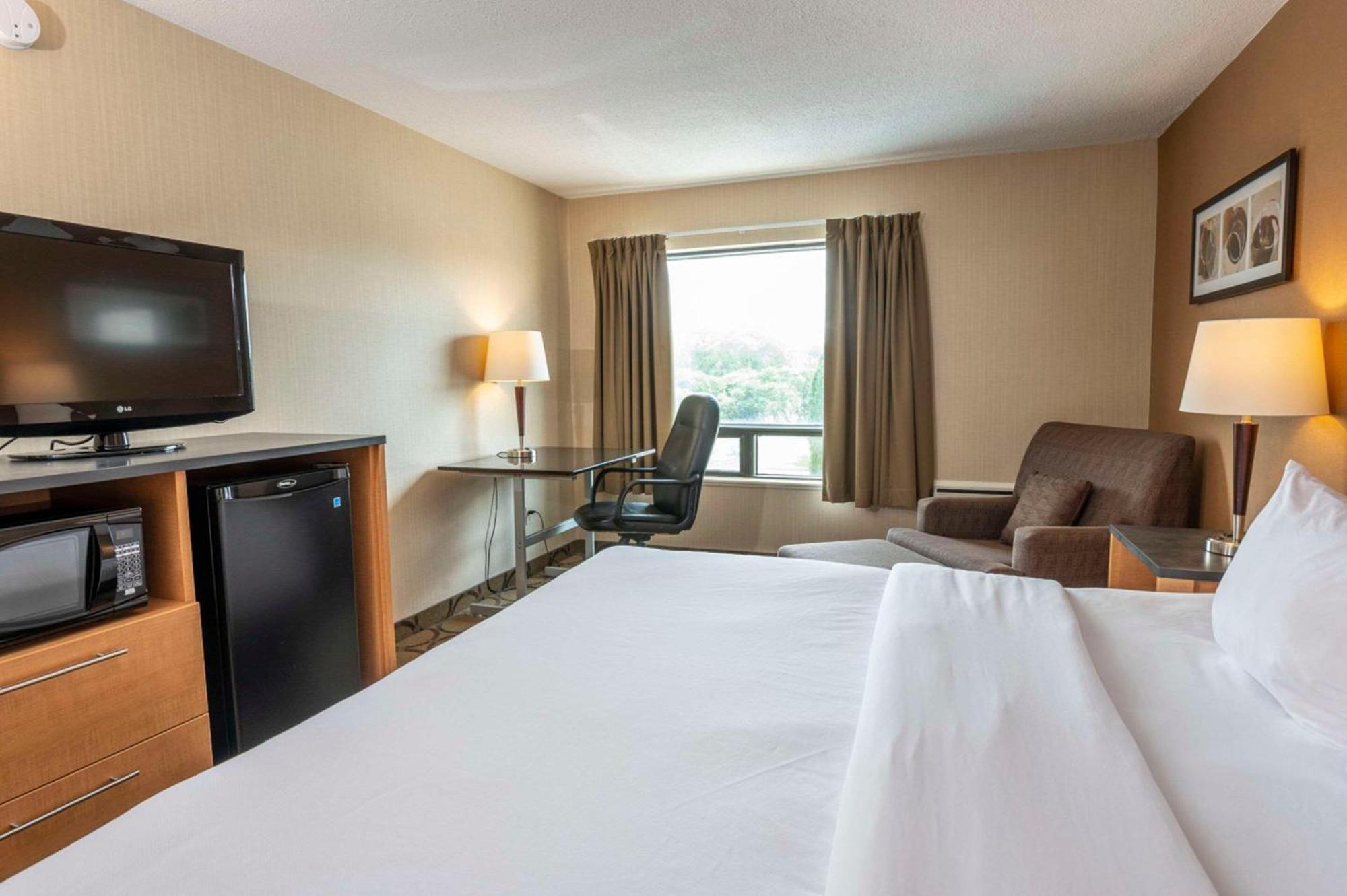 סידני Comfort Inn מראה חיצוני תמונה