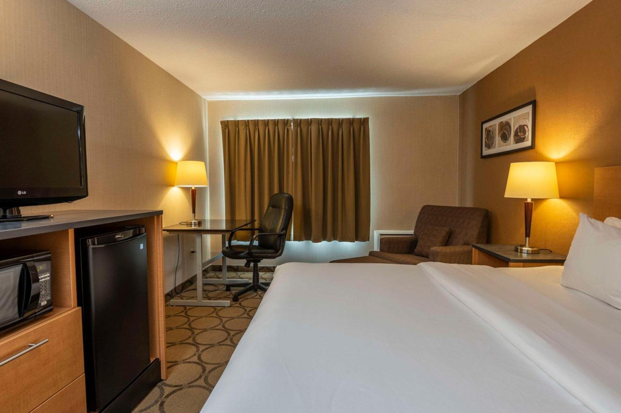 סידני Comfort Inn מראה חיצוני תמונה