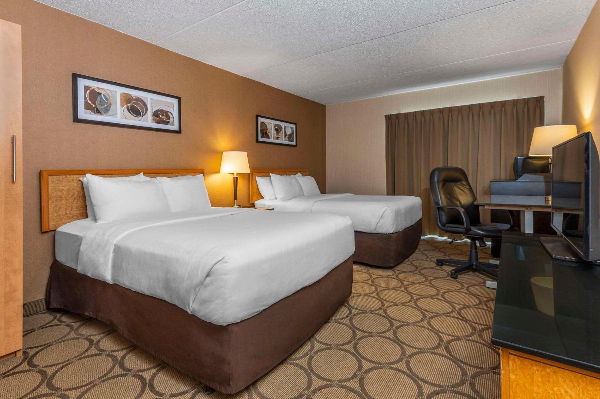 סידני Comfort Inn מראה חיצוני תמונה