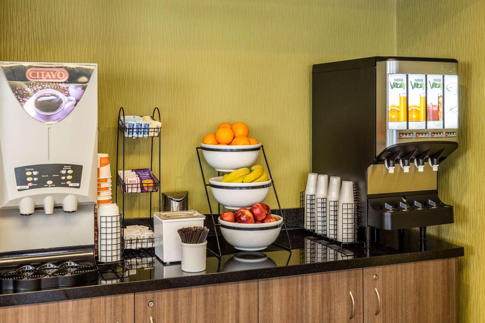 סידני Comfort Inn מראה חיצוני תמונה