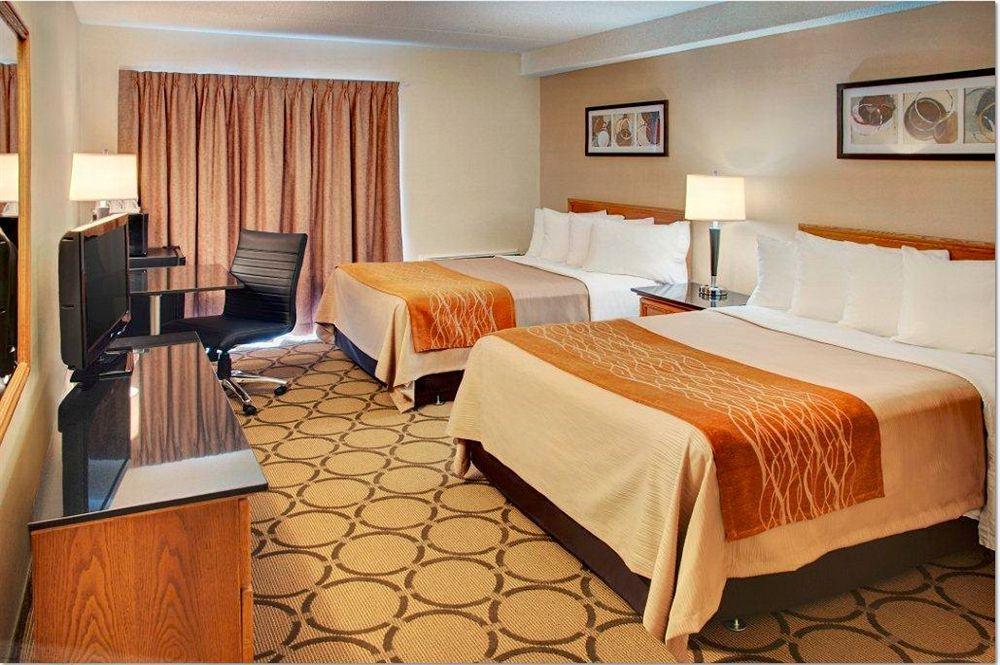 סידני Comfort Inn מראה חיצוני תמונה