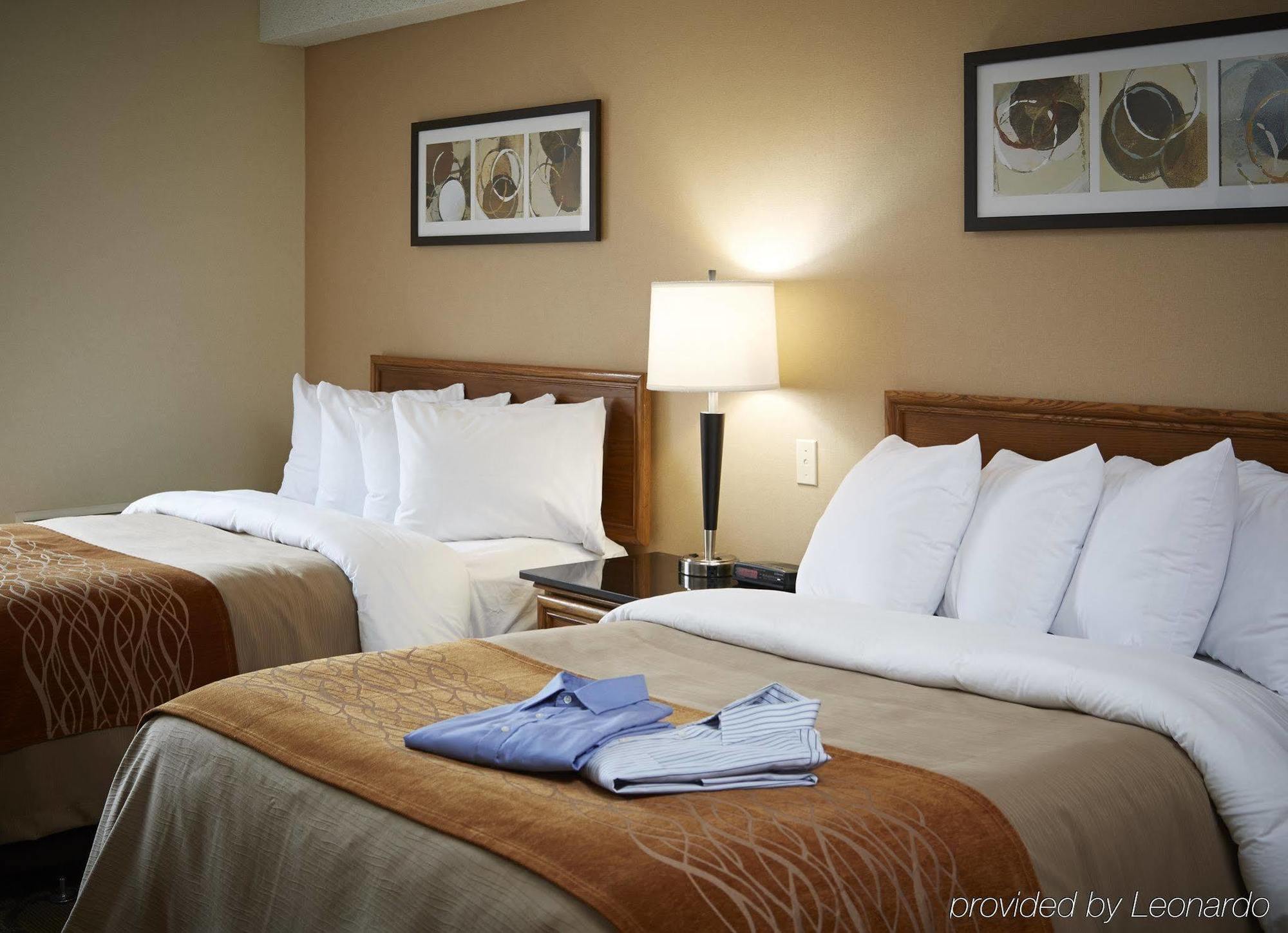 סידני Comfort Inn מראה חיצוני תמונה